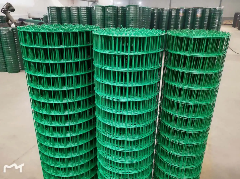 枞阳荷兰网